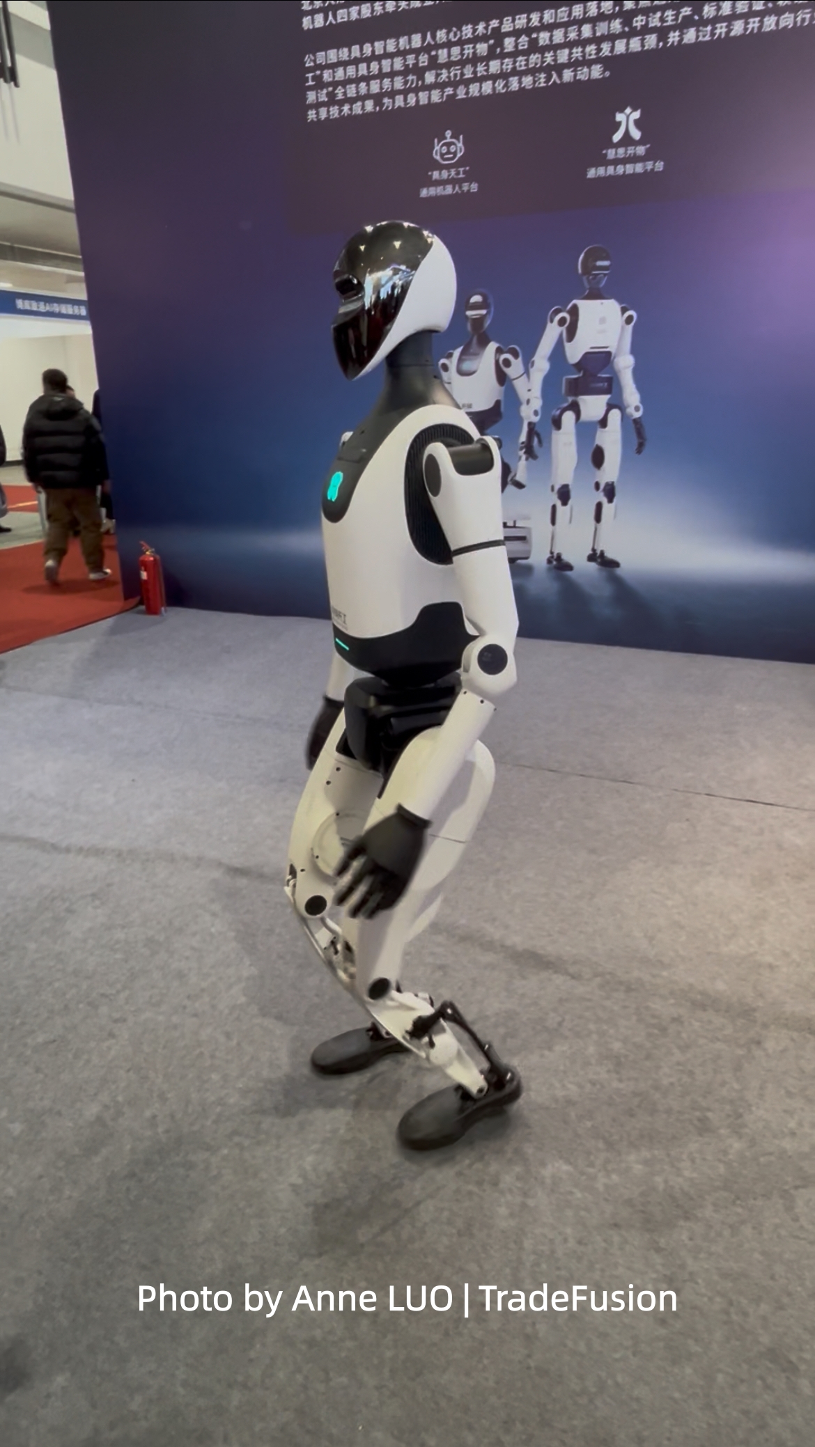 Humanoid robot
